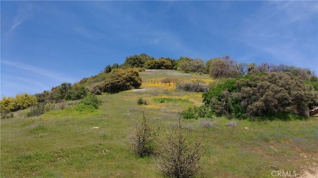 view of landscape with a rural view