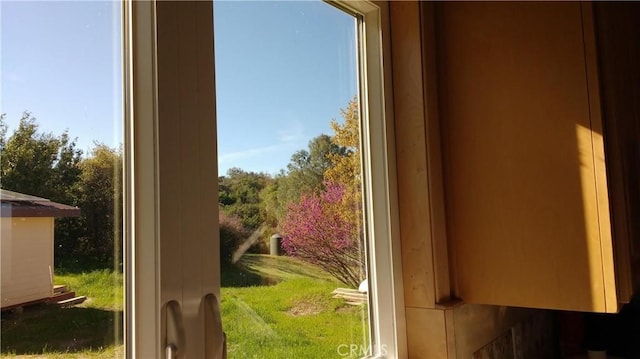 entryway with a wealth of natural light