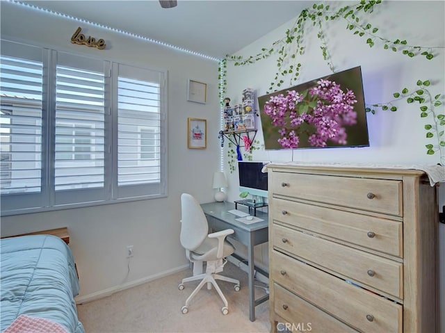 view of carpeted office space