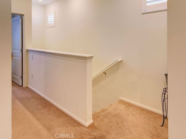 staircase with carpet flooring