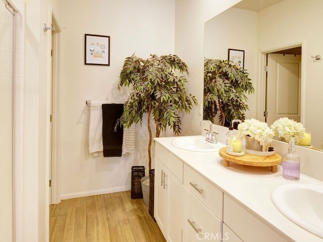 bathroom featuring wood-type flooring and vanity