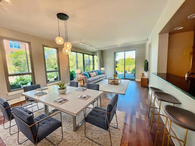 dining space with dark hardwood / wood-style flooring and rail lighting