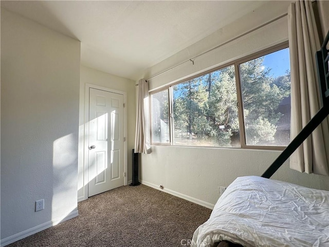 bedroom featuring baseboards, carpet floors, and a textured wall