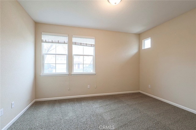 spare room with carpet floors