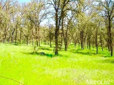 0 Grassy Run Rd, Placerville CA, 95667 land for sale