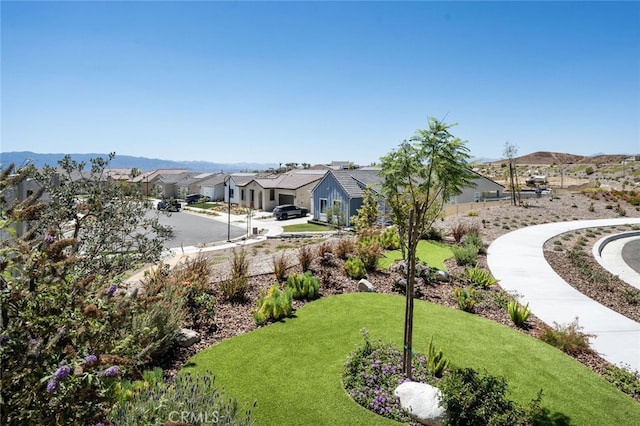 view of yard with a mountain view