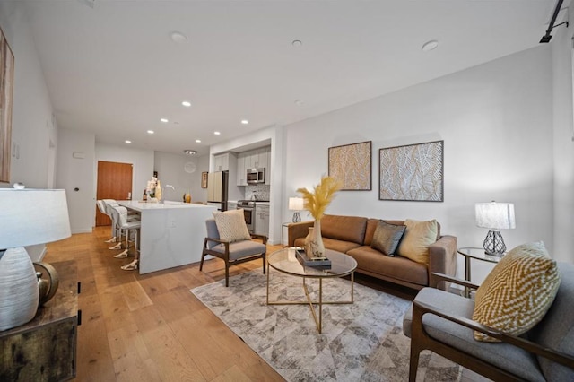 living room featuring light hardwood / wood-style flooring and sink