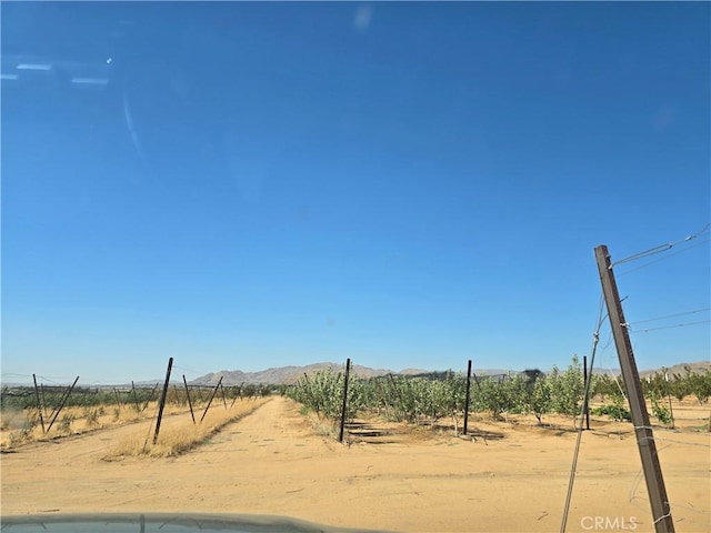 24055 Ottawa Rd, Apple Valley, CA 92307 - photo 6