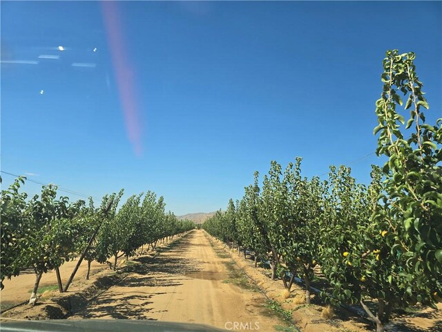 24055 Ottawa Rd, Apple Valley, CA 92307 - photo 3