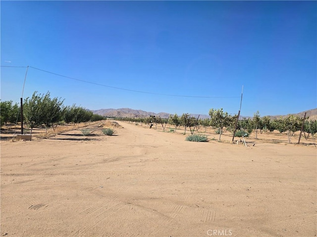 24055 Ottawa Rd, Apple Valley, CA 92307 - photo 5