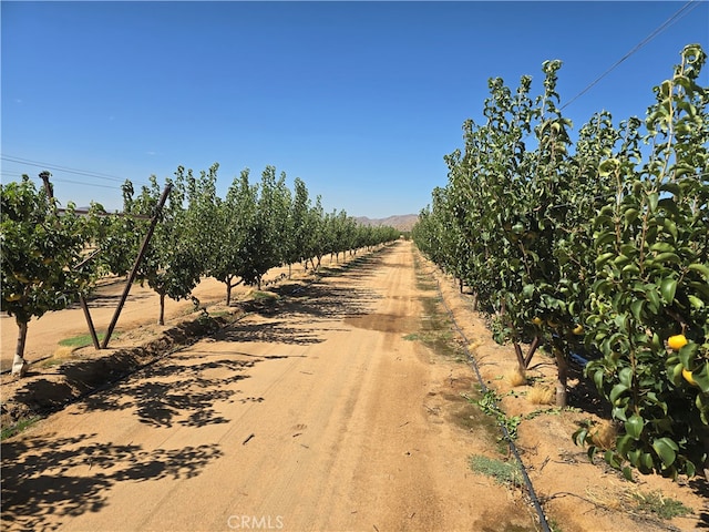 24055 Ottawa Rd, Apple Valley CA, 92307 land for sale