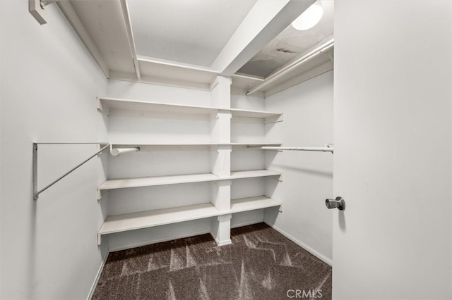 walk in closet with dark colored carpet