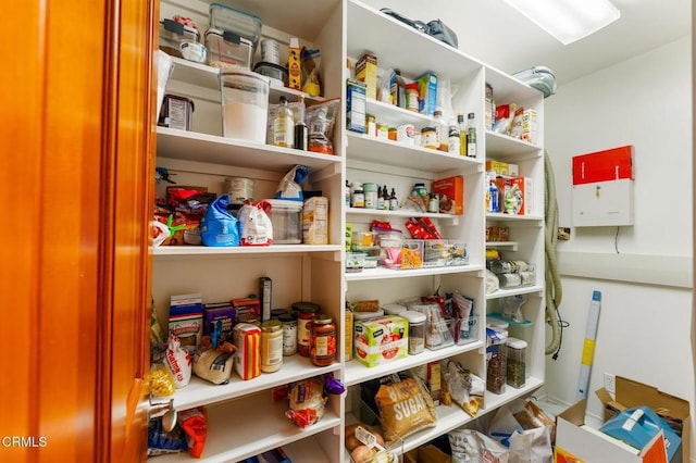 view of pantry