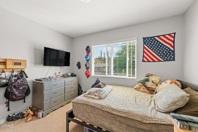 bedroom featuring carpet