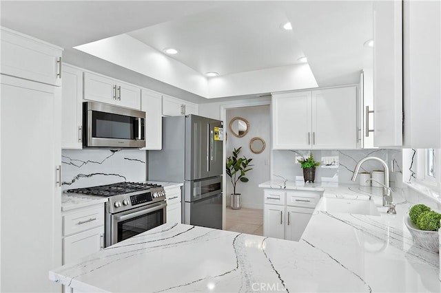 kitchen featuring appliances with stainless steel finishes, a tray ceiling, a sink, and light stone counters