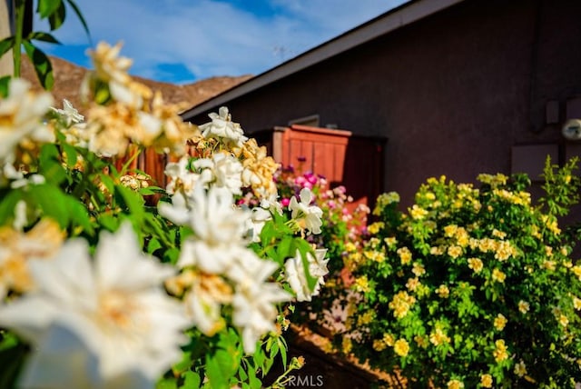 16988 Tack Ln, Moreno Valley, CA 92555 - photo 8