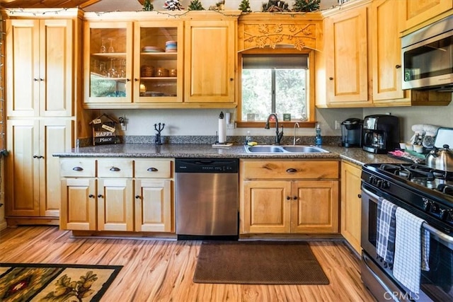 kitchen with stainless steel appliances, light hardwood / wood-style floors, and sink