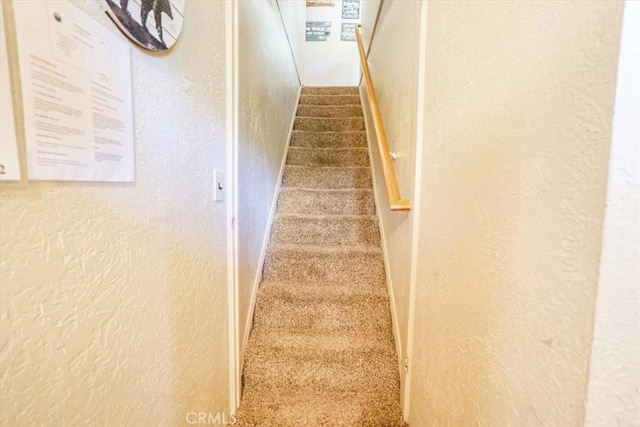 staircase with carpet flooring