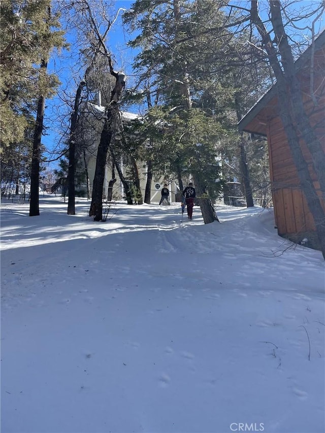 view of yard covered in snow