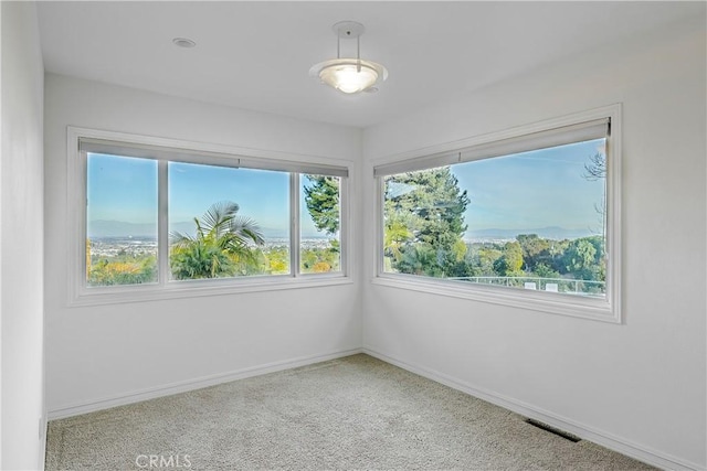 spare room featuring light carpet