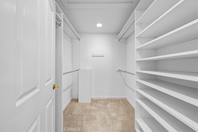 spacious closet featuring light carpet