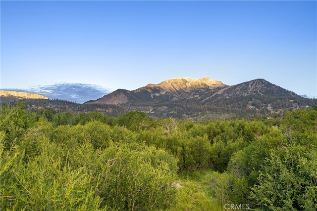 view of mountain feature