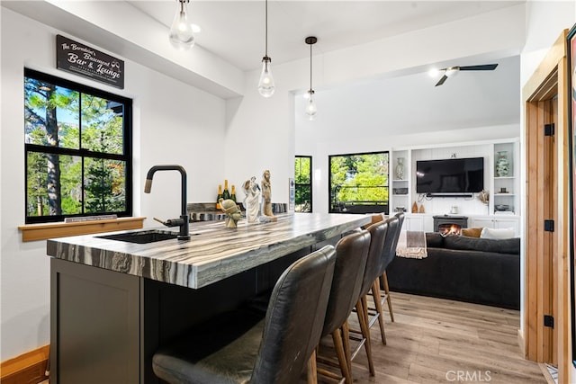 interior space featuring pendant lighting, sink, and light hardwood / wood-style flooring