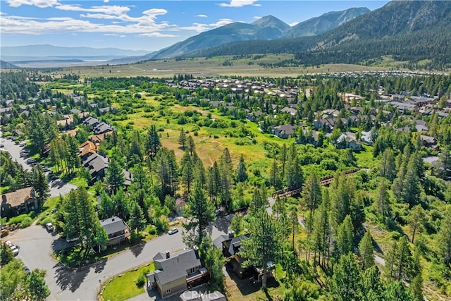 drone / aerial view featuring a mountain view