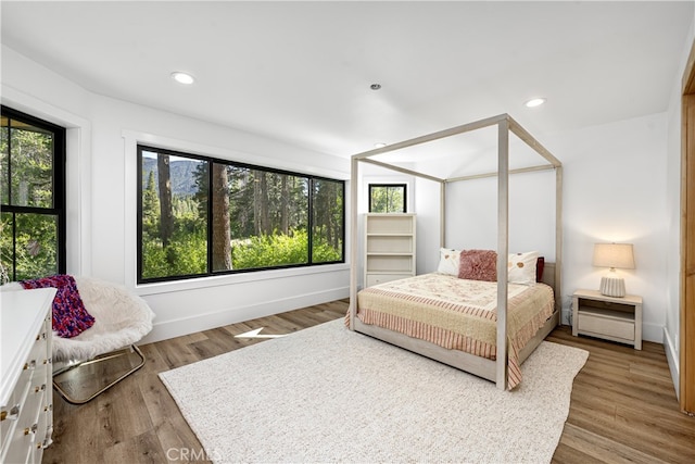 bedroom featuring wood-type flooring and multiple windows