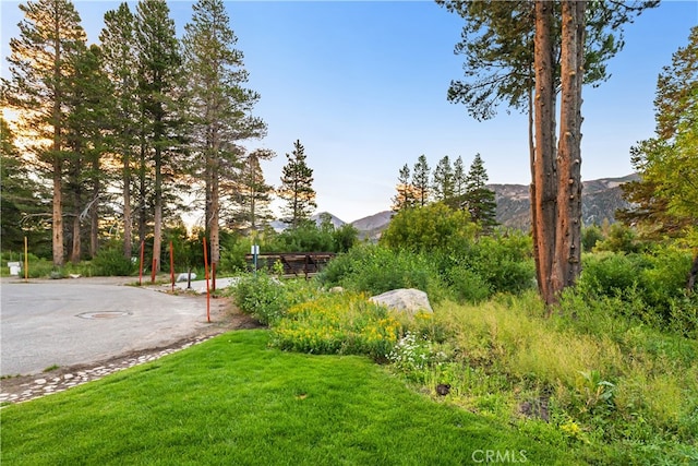 view of yard with a mountain view