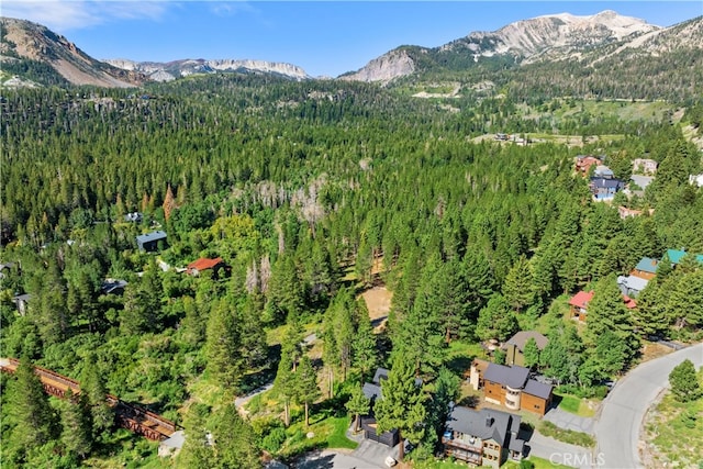 bird's eye view with a mountain view