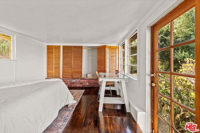 bedroom featuring multiple windows and dark hardwood / wood-style floors