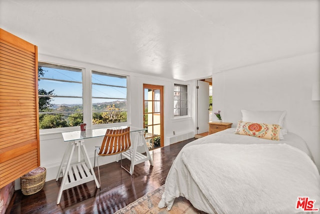 bedroom featuring multiple windows and dark hardwood / wood-style flooring