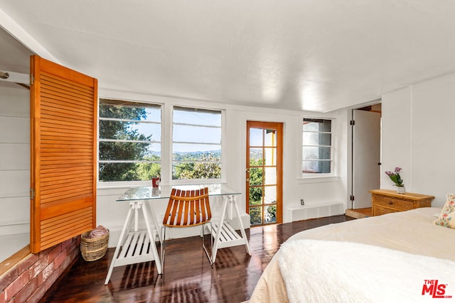 bedroom with radiator heating unit, dark hardwood / wood-style floors, and multiple windows