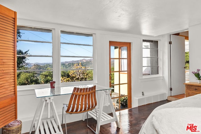 bedroom featuring dark hardwood / wood-style flooring, a mountain view, and radiator