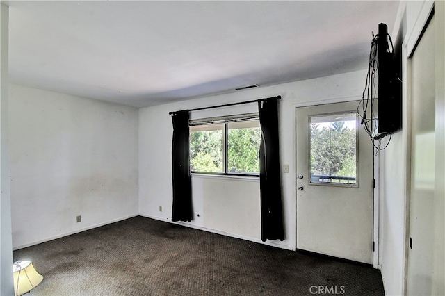 carpeted empty room with a healthy amount of sunlight