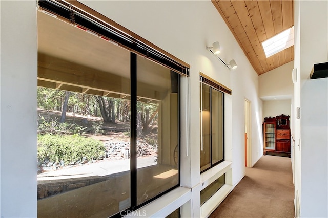 hallway featuring carpet floors, a skylight, plenty of natural light, and high vaulted ceiling