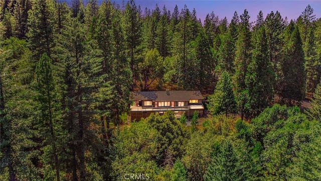16200 Pinewood Dr, Pioneer, CA 95666 - photo 1