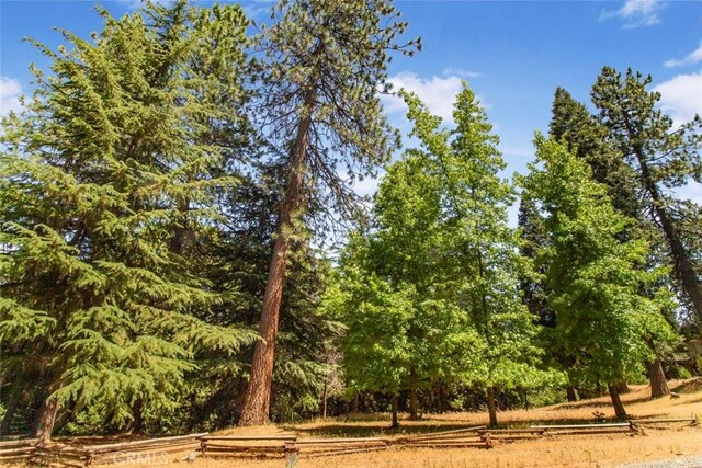 16200 Pinewood Dr, Pioneer, CA 95666 - photo 67