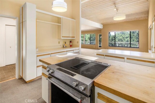 16200 Pinewood Dr, Pioneer, CA 95666 - photo 22
