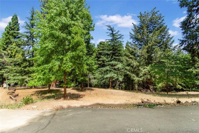16200 Pinewood Dr, Pioneer, CA 95666 - photo 65
