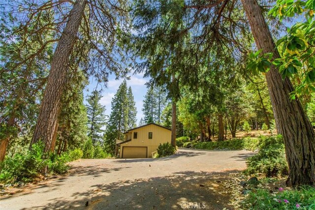 16200 Pinewood Dr, Pioneer, CA 95666 - photo 3