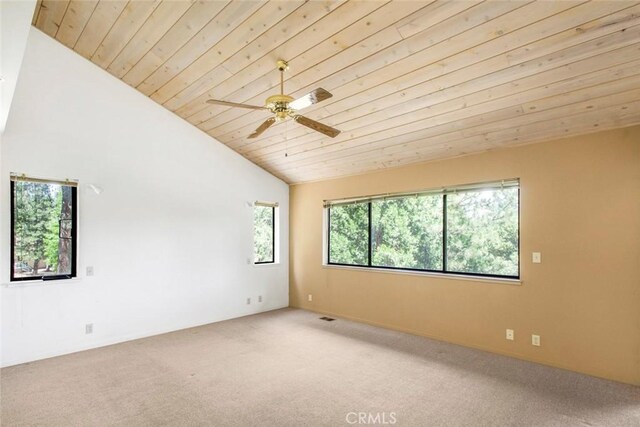 16200 Pinewood Dr, Pioneer, CA 95666 - photo 29