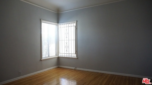 spare room featuring hardwood / wood-style flooring and crown molding