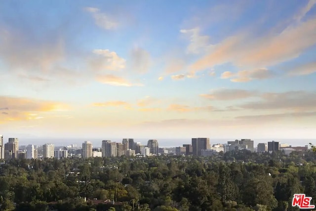 property's view of city