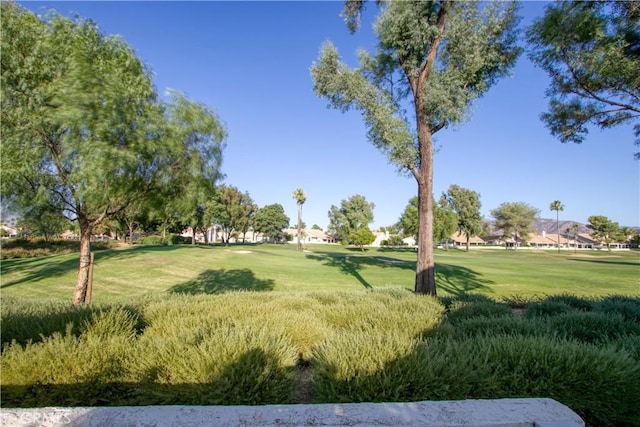 view of property's community with a yard