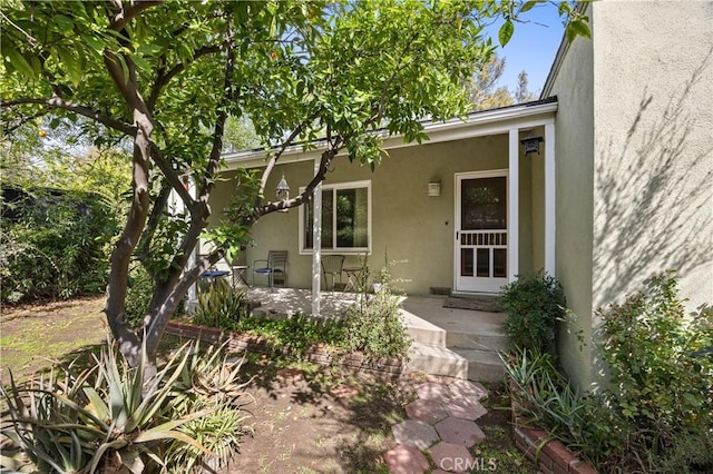 view of exterior entry with a patio and stucco siding