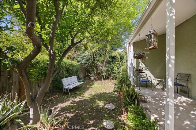 view of yard with a patio area and a fenced backyard