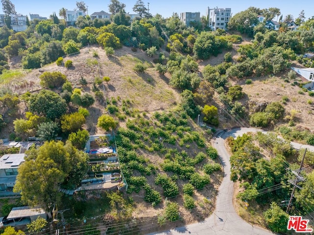 2100 Avon St, Los Angeles CA, 90026 land for sale