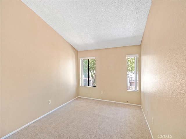 empty room featuring a healthy amount of sunlight, light carpet, and a textured ceiling